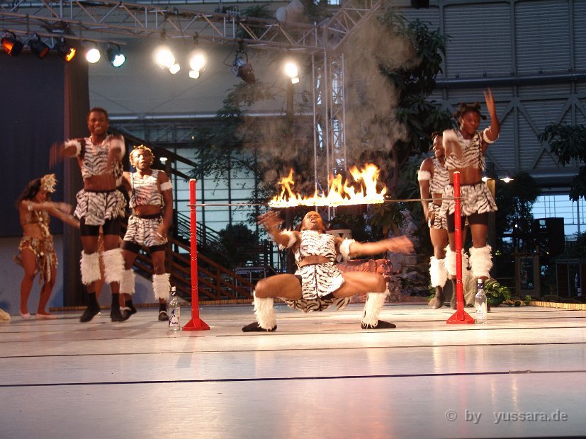 Karibik Show, karibische Tänzerinnen Tänzer, Limbo Show, Calypso, Merengue, Salsa, Reggaeton, Kizomba, Bachata, Soca Tanz Show. Exotisches Feuer der Karibik, original karibische Tänze. Yussara Dance Company, Yussara Cunha, Karibikshow